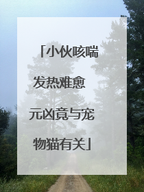 小伙咳喘发热难愈 元凶竟与宠物猫有关
